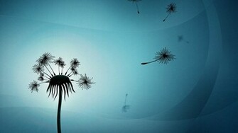 Galaxy S Wallpaper Samsung Dandelion Tattoo Pictures