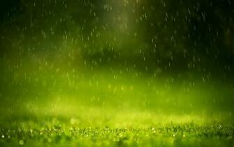 Rain Drops Wallpaper HD Desktop