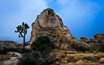 Joshua Tree National Park HD Wallpaper All