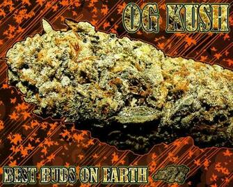 Og Kush Wallpaper By Dvorda