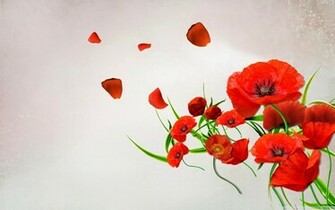 High Resolution Flower Themes Background Frame Abstract Pattern