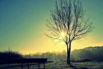 Top Misty HD Wallpaper