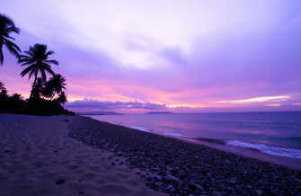 Purple Beach Wallpaper