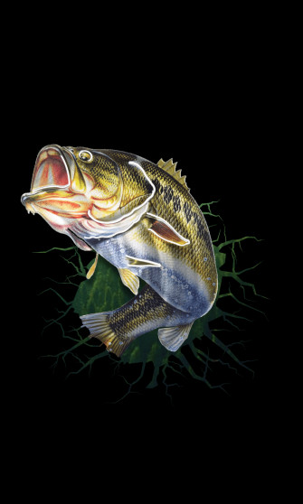 Bass Wallpaper On