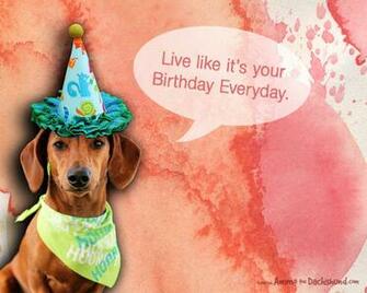 Week Dachshund B Day Desktop Wallpaper Ammo The