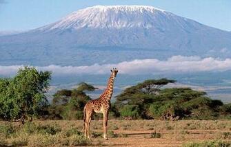 Mount Kilimanjaro Wallpaper X Net