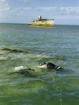 Navy Divers Explore Reefs Anchored Target Ship Sits In
