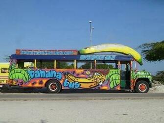 This Bus Screams Fun Picture Of Banana Palm Eagle Beach