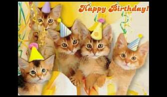 Funny BirtHDay Cat HD Wallpaper