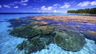 Great Barrier Reef Queensland Australia Beautiful Photos And