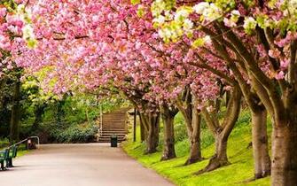 Nature Spring Colors