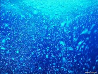 Blue Ocean Wallpaper Animals Wallpaper25 Wallcoo Net