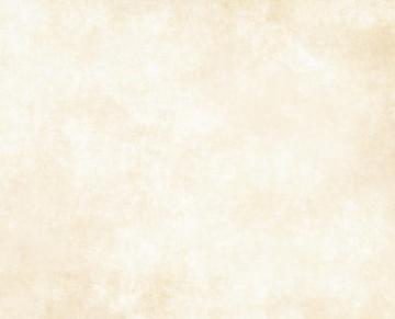 Large Old Paper Or Parchment Background Texture The Great