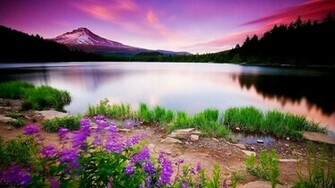 Full HD Size Nature Wallpaper S