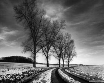 Nature Wallpaper HD Landscape