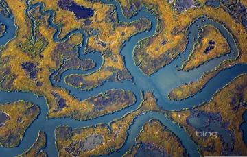 Wallpaper River Island Swamp Usa New Jersey Cape May