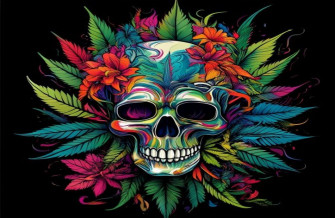 Wallpaper Of Weed Skull