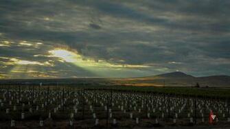Red Mountain Ava New Vineyard Rattlesnake Sunburst