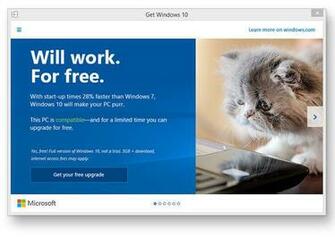 Update Microsoft Windows Privacy Issues