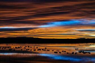 New Mexico At Dawn High Quality And Resolution