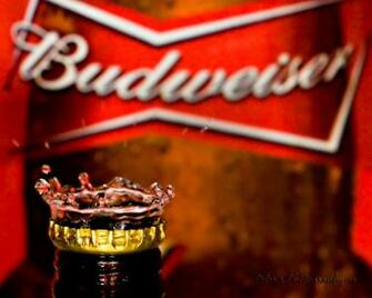 New Wallpaper Budweiser Is Truly The King