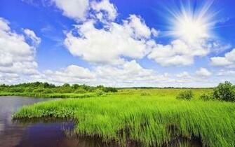 Pics Photos Sunny Day Wallpaper