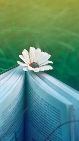 Field Book Flower Grass iPhone Wallpaper