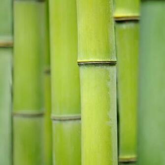 Official Blackberry Z10 Stock Wallpaper Android