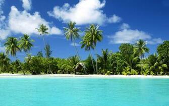 Wallpaper Of Outdoor Trees Beaches HD Resolution