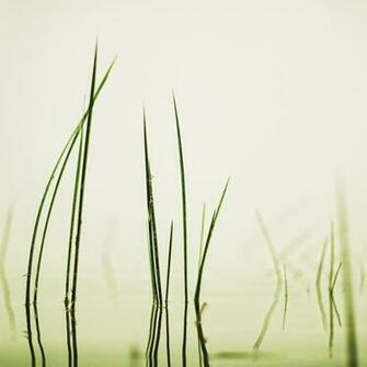 Nature iPad HD Wallpaper Retina