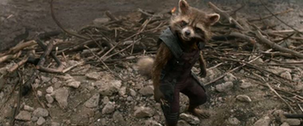 Rocket Raccoon Wallpaper From Marvel S