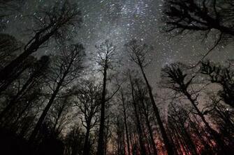Star Filled Sky At Night A With Stars Taken Though The