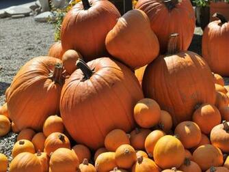 Fall Desktop Wallpaper Pumpkins In HD
