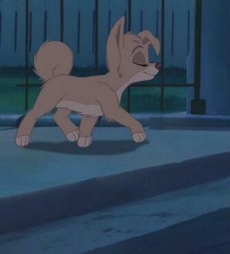Angel Lady And The Tramp Prissy Little Pup HD