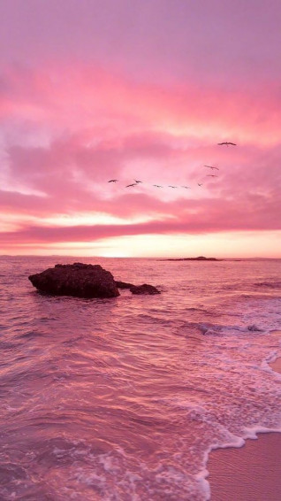 Cute Pink Wallpaper For iPhone That You Ll Love