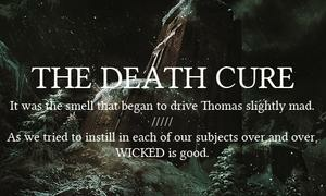 The Maze Runner Death Cure