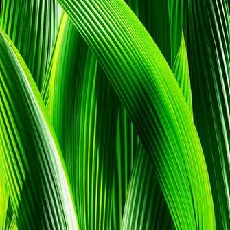 Ios7 iPad Wallpaper Hq