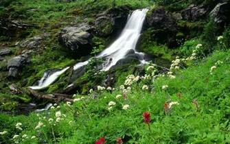 Small Mountain Waterfall Wallpaper