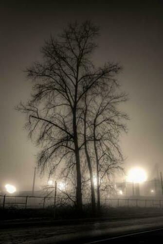 Fog Silhouette Wallpaper By Electric Aura Travel Holiday