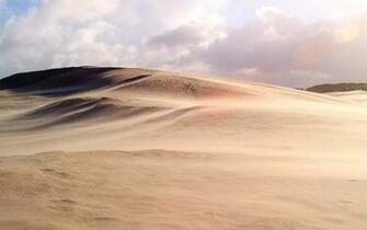 Desert Wallpaper