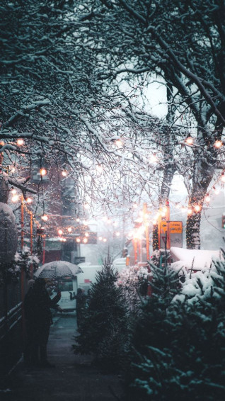 Best Snow iPhone HD Wallpaper