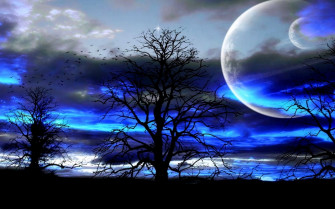 Nature Tree Landscape Art Artwork Artistic Wallpaper HD