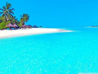 Crystal Clear Water 4k HD Desktop Wallpaper For Ultra Tv