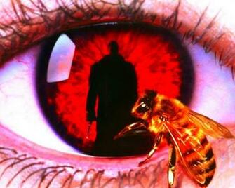 Wallpaper Candyman Bestpicture1 Org