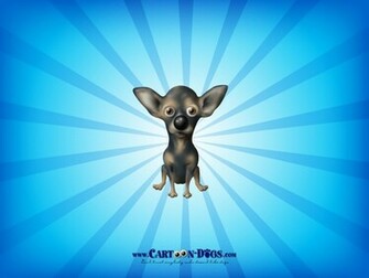 Chihuahua Background Wallpaper