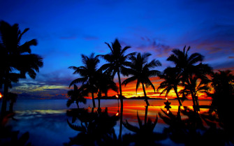 Tropical Sunset Wallpaper Desktop