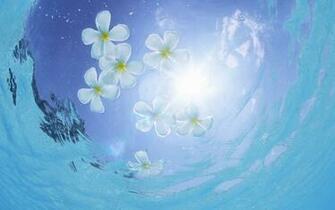 Maldives Widescreen Wallpaper Travel Tourism