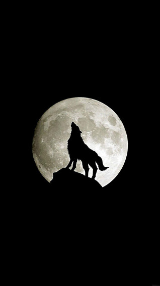 Wolf iPhone Wallpaper
