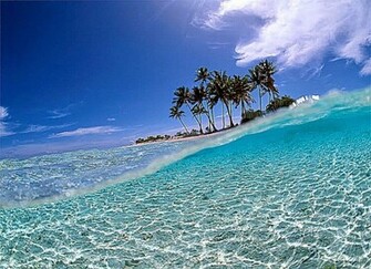 Beach Themed Background HD Wallpaper