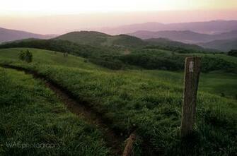 Wacphotography